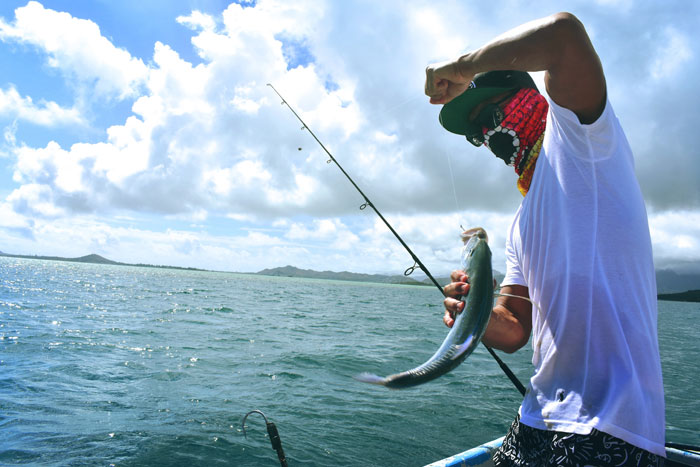 Queensland Offshore Fishing Tournament!